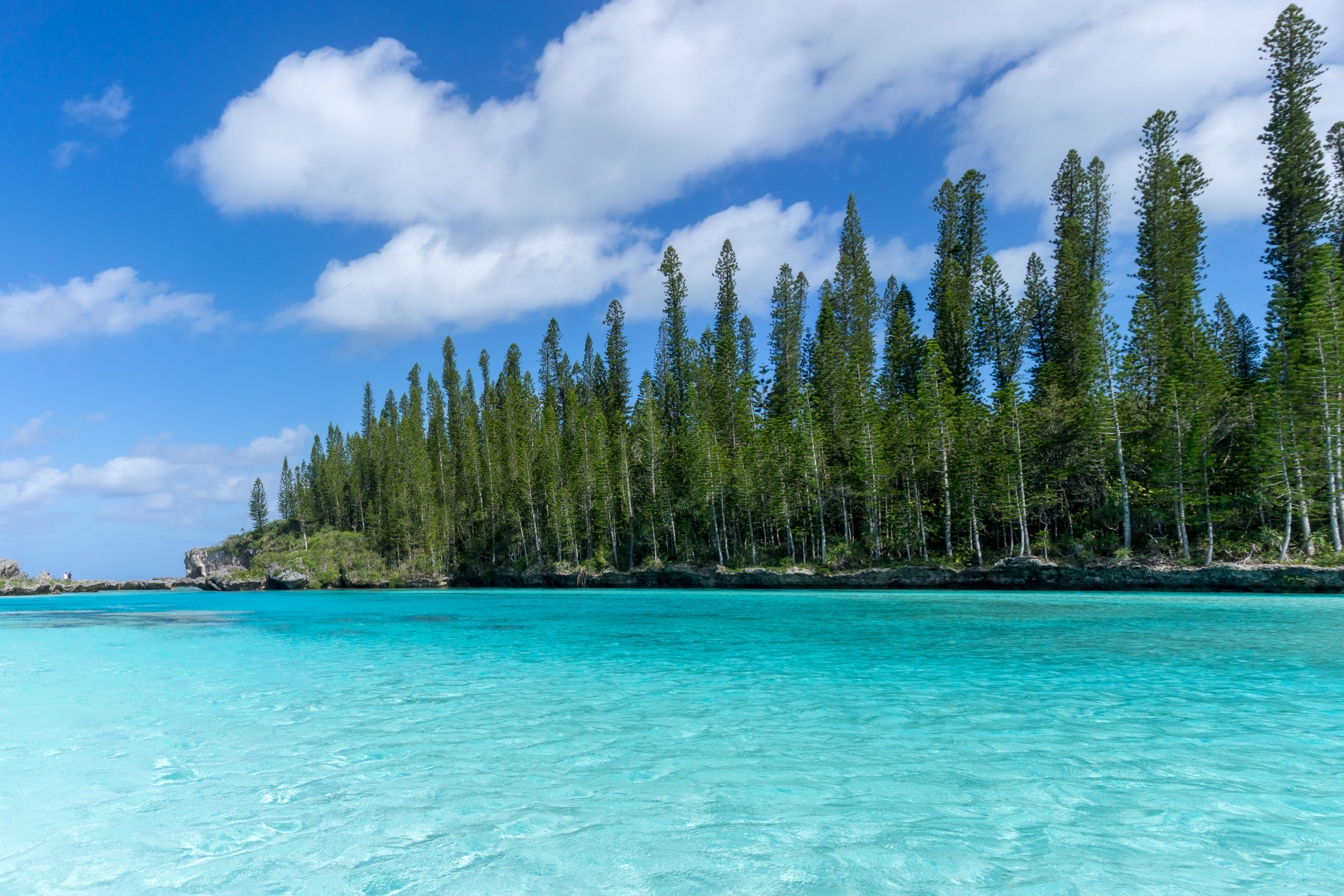 kouaré island (2).webp